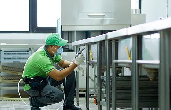 Đào tạo kỹ thuật kiểm soát côn trùng hiện đại cùng chuyên gia Syngenta tại An Sinh Pest Control