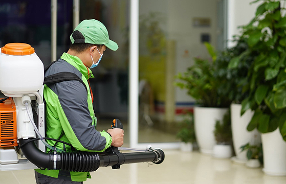 Dịch vụ diệt và phòng chống mối, sâu bệnh hại cây trồng