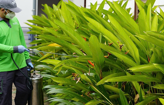 An Sinh Pest Control nâng cao kỹ thuật kiểm soát côn trùng cùng chuyên gia Syngenta