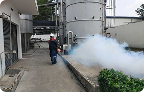 Bước 1: Dọn dẹp, che phủ đồ dùng trước khi phun thuốc