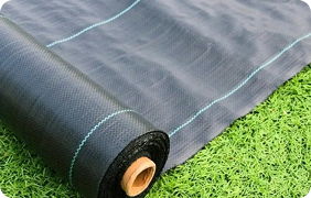 Các tấm vải kích thước lớn