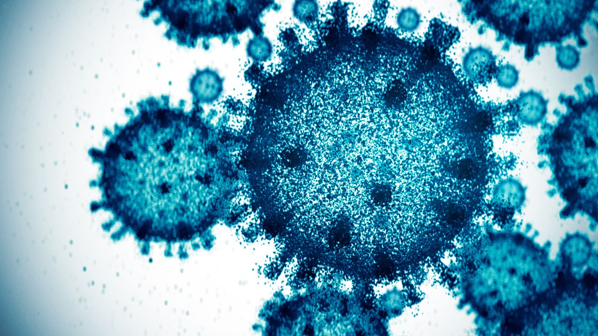 Virus
